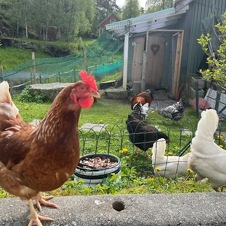 Apartment Summer With Heated Pool 50 Min From Bergen